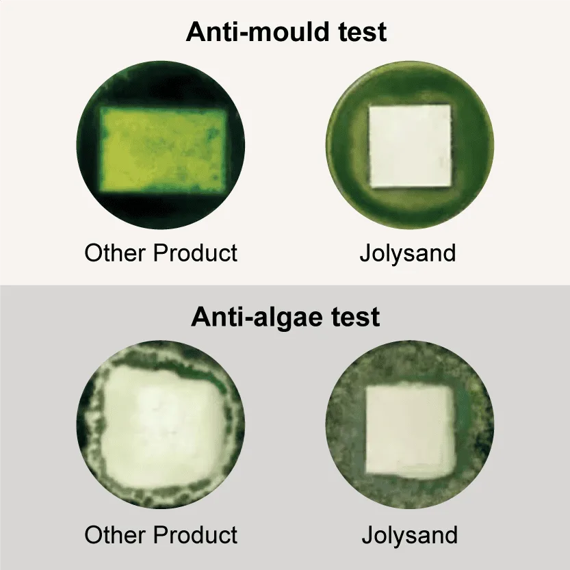 Jolysand mould and algae resistant wall coating test Jolysand mould and algae resistant wall coating test